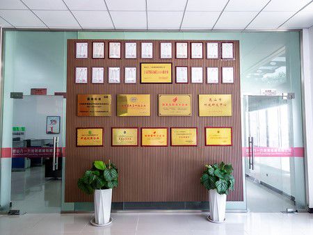 Company Profile