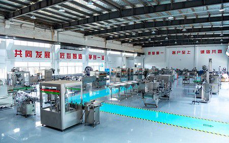 Company Profile